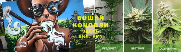 mdpv Новозыбков