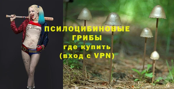 mdpv Новозыбков