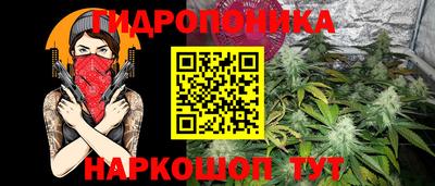 ГАЛЛЮЦИНОГЕННЫЕ ГРИБЫ Заволжье