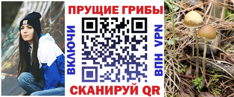 Галлюциногенные грибы мухоморы  что такое наркотик  Новый Уренгой 