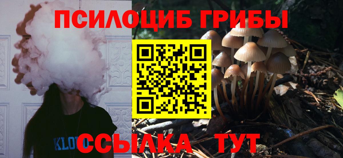 Новый Уренгой  Галлюциногенные грибы ЛСД  Вход с VPN 